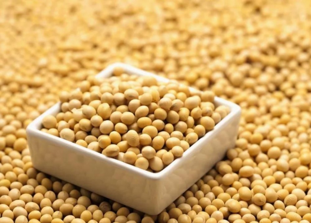 Soya izoflavonlarının faydaları nelerdir?