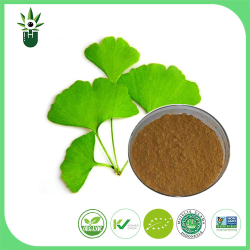 Ginkgo biloba yaprak ekstresi hangi semptomları hafifletmek için kullanılabilir?