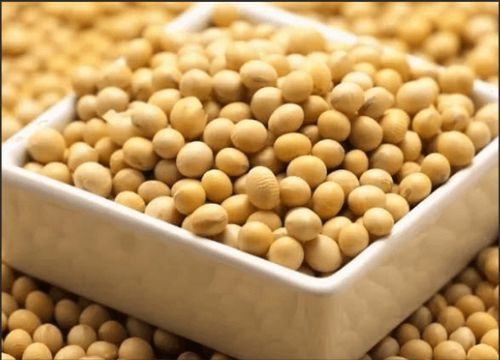 Soya izoflavonlarının faydaları nelerdir?