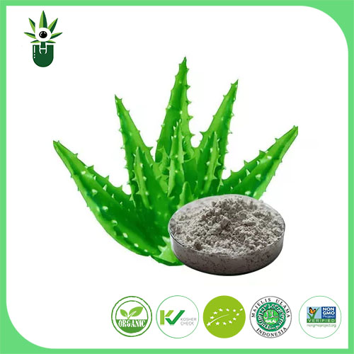 Aloe Vera Özü