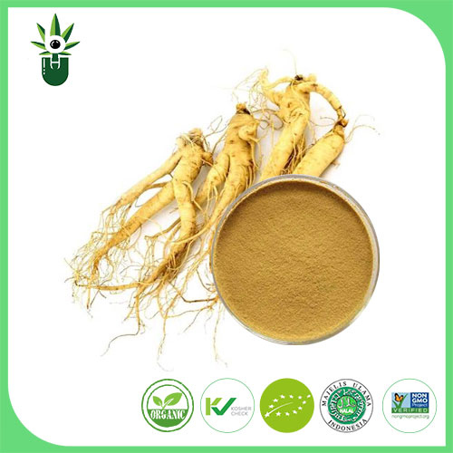 Amerikan Ginseng Ekstraktı