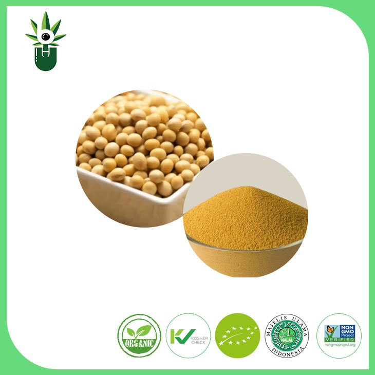GDO dışı soya ekstrakt tozu% 90 soya izoflavonları