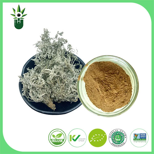 Artemisia Capillaris Başparmak Özü